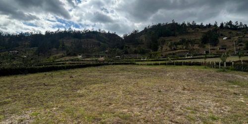 WhatsApp Image 2026-02-26 at 10.12.41 AM (2)