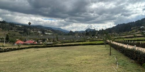 WhatsApp Image 2026-02-26 at 10.12.41 AM (4)