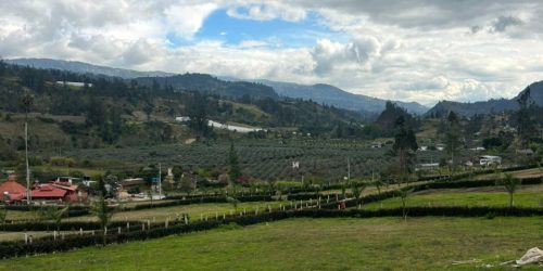 WhatsApp Image 2026-02-26 at 10.12.41 AM