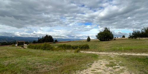 WhatsApp Image 2026-02-26 at 10.26.37 AM (1)