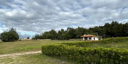 WhatsApp Image 2026-02-26 at 10.26.37 AM (2)