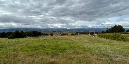 WhatsApp Image 2026-02-26 at 10.26.37 AM