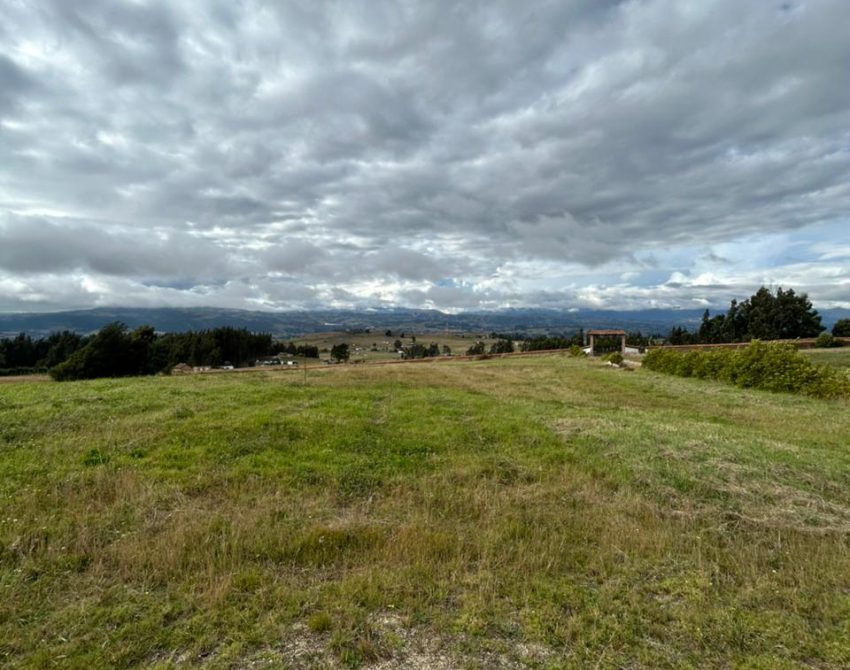 WhatsApp Image 2026-02-26 at 10.26.37 AM