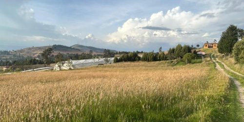 WhatsApp Image 2026-03-16 at 9.27.24 AM