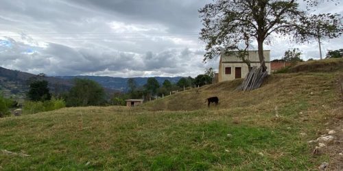 WhatsApp Image 2026-03-24 at 10.23.03 AM (10)