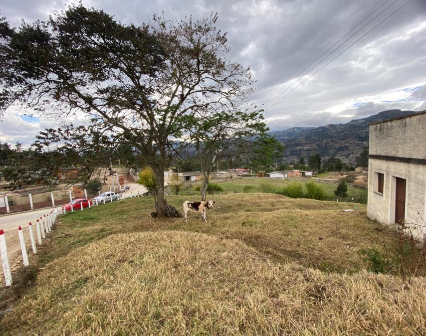 WhatsApp Image 2026-03-24 at 10.23.03 AM (6)