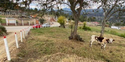 WhatsApp Image 2026-03-24 at 10.23.03 AM (8)