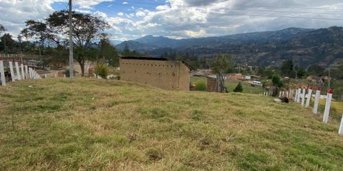 WhatsApp Image 2026-03-24 at 10.23.03 AM