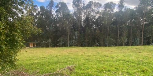 WhatsApp Image 2026-04-08 at 8.43.08 AM