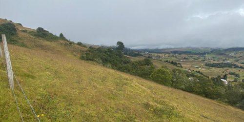 WhatsApp Image 2026-04-10 at 2.55.17 PM (1)