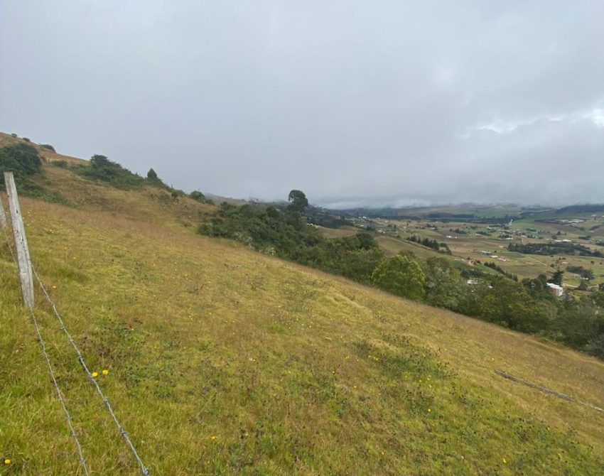 WhatsApp Image 2026-04-10 at 2.55.17 PM (1)