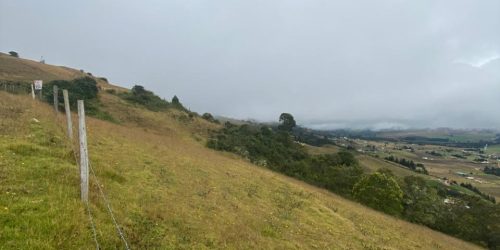 WhatsApp Image 2026-04-10 at 2.55.17 PM (2)