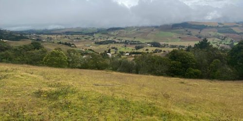 WhatsApp Image 2026-04-10 at 2.55.17 PM