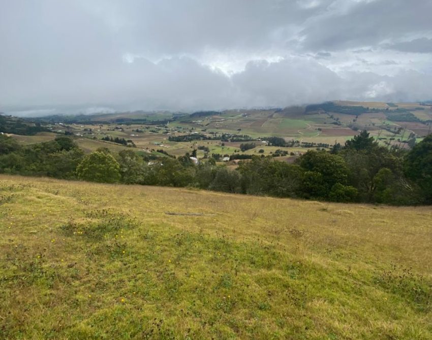 WhatsApp Image 2026-04-10 at 2.55.17 PM