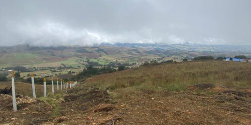 WhatsApp Image 2026-04-10 at 2.58.47 PM (1)