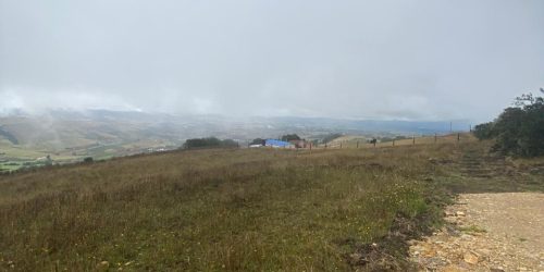 WhatsApp Image 2026-04-10 at 2.58.48 PM