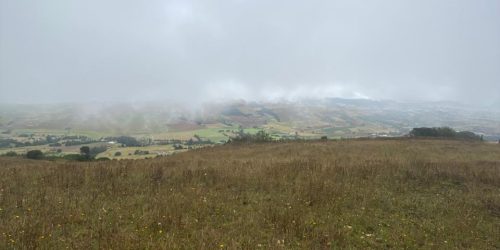 WhatsApp Image 2026-04-10 at 3.11.31 PM (1)