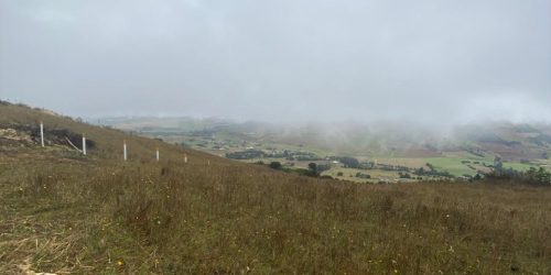 WhatsApp Image 2026-04-10 at 3.11.32 PM