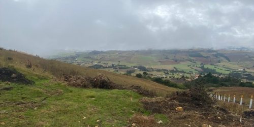 WhatsApp Image 2026-04-10 at 3.11.43 PM