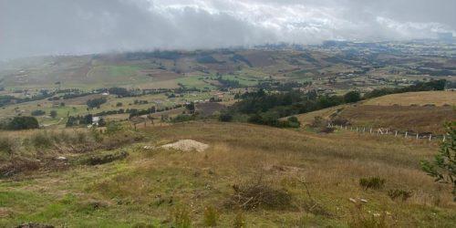 WhatsApp Image 2026-04-10 at 3.11.55 PM (1)