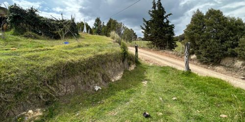 fa29e17f-42a9-4e86-855f-19d0165ddad8